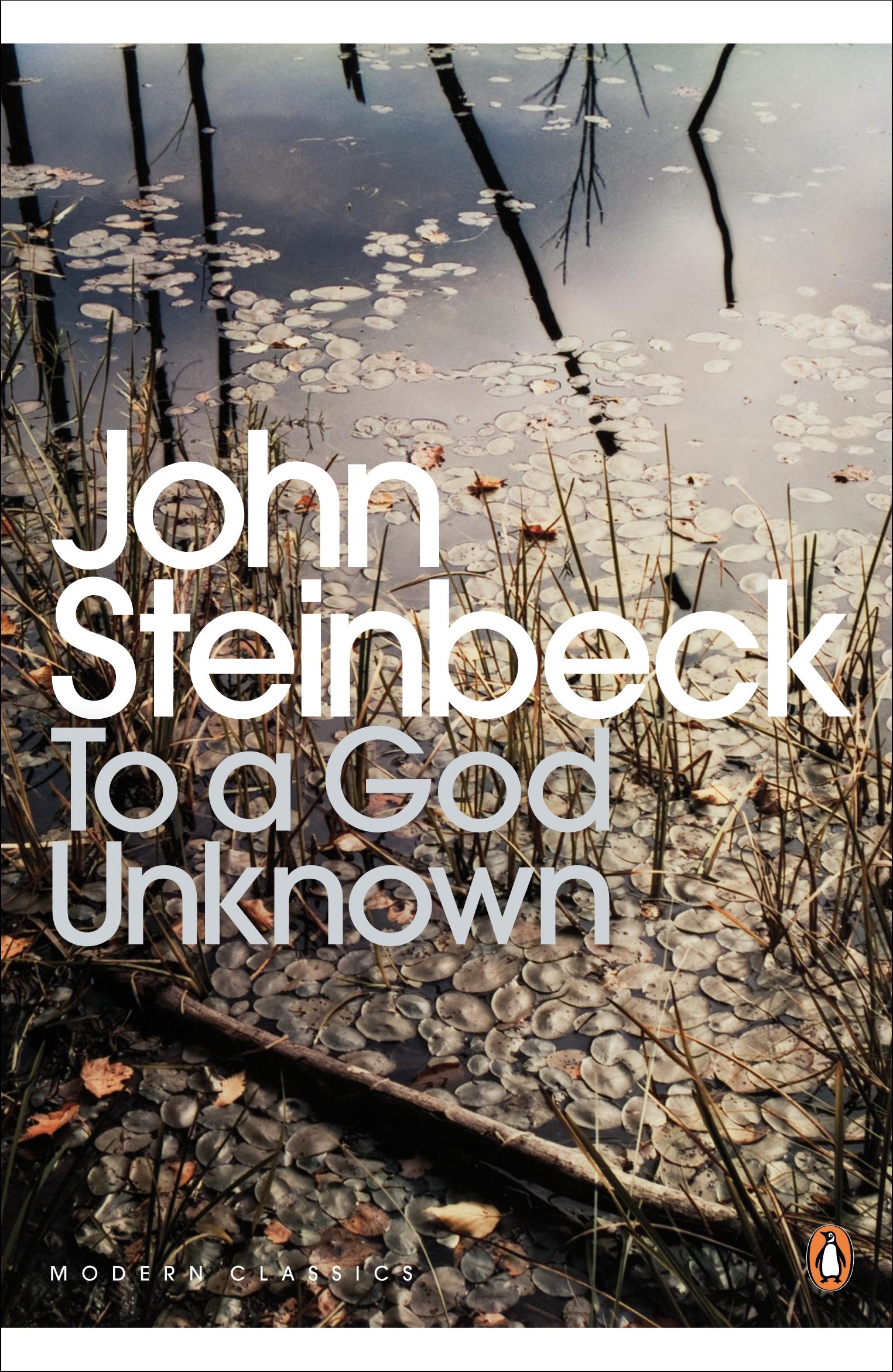 To a God Unknown / John Steinbeck / Taschenbuch / Kartoniert / Broschiert / Englisch / 2000 / Penguin Books Ltd / EAN 9780141185507 - Steinbeck, John