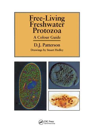 Freeliving Freshwater Protozoa / David J. Patterson (u. a.) / Taschenbuch / Einband - flex.(Paperback) / Englisch / 1996 / Manson Publishing Ltd / EAN 9781874545408 - J. Patterson, David
