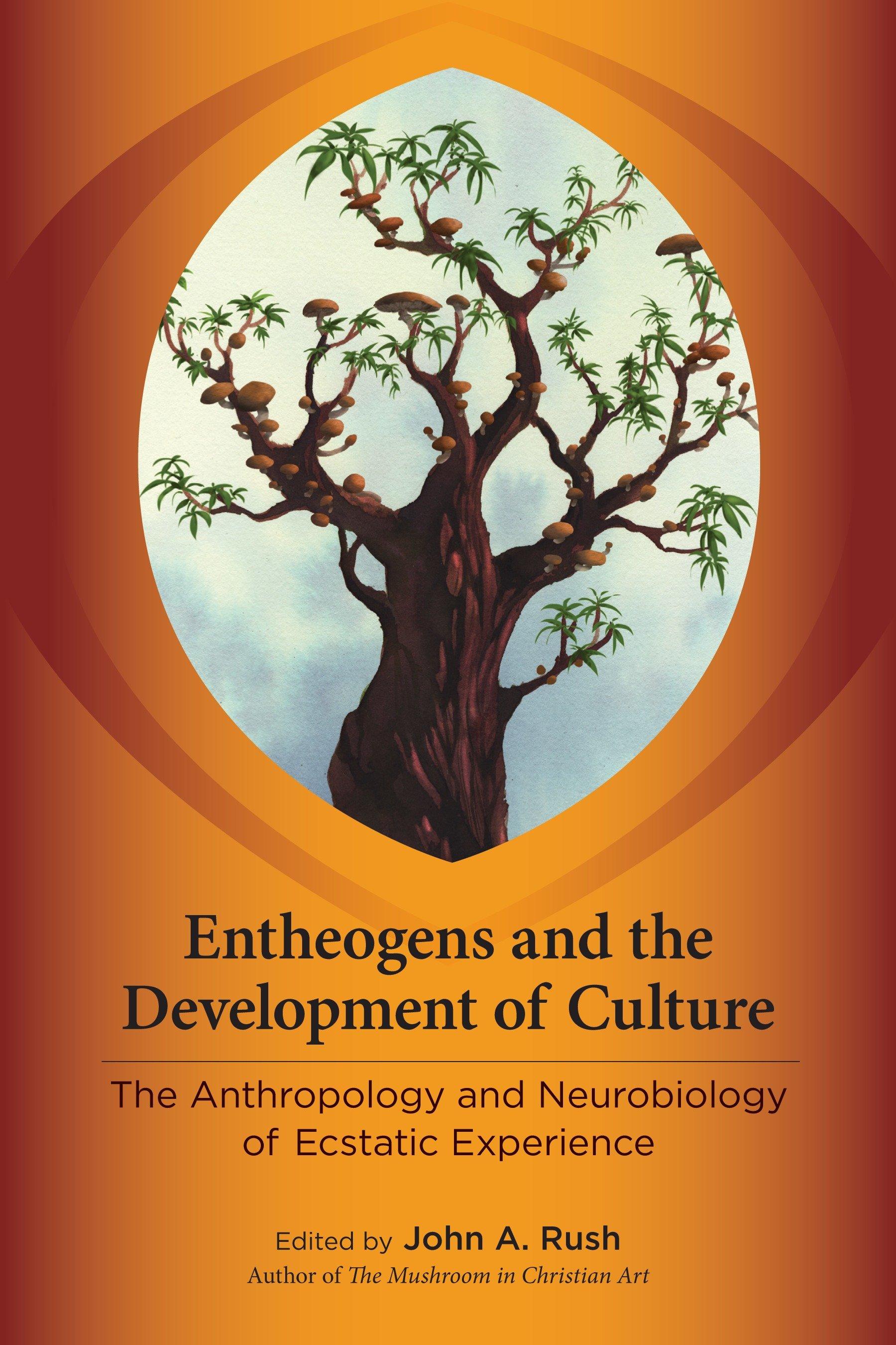 Entheogens and the Development of Culture / The Anthropology and Neurobiology of Ecstatic Experience / John Rush / Taschenbuch / Einband - flex.(Paperback) / Englisch / 2013 / EAN 9781583946008 - Rush, John
