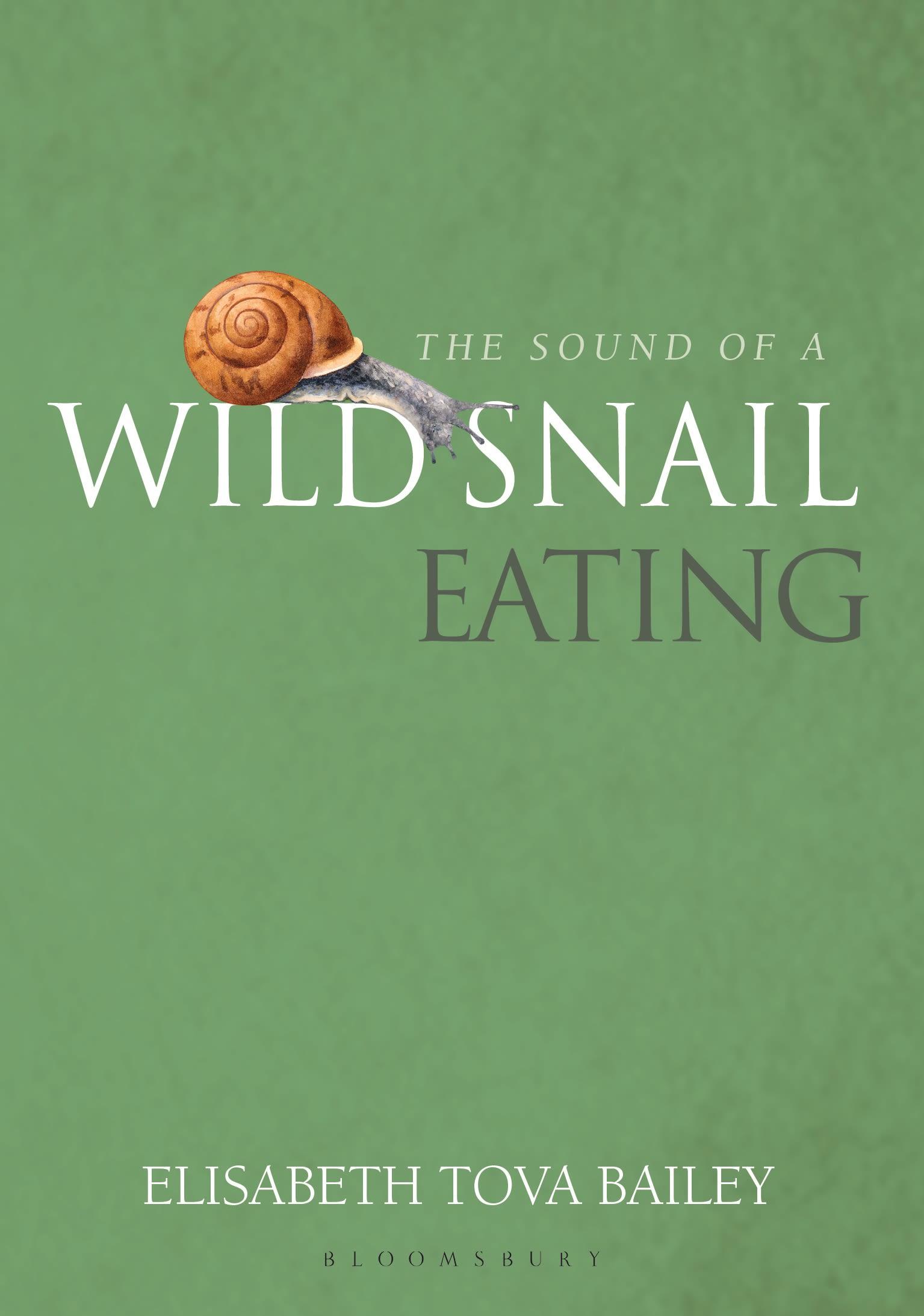 The Sound of a Wild Snail Eating / Elisabeth Tova Bailey / Taschenbuch / Gebunden / Englisch / 2012 / Green Books / EAN 9781900322911 - Bailey, Elisabeth Tova