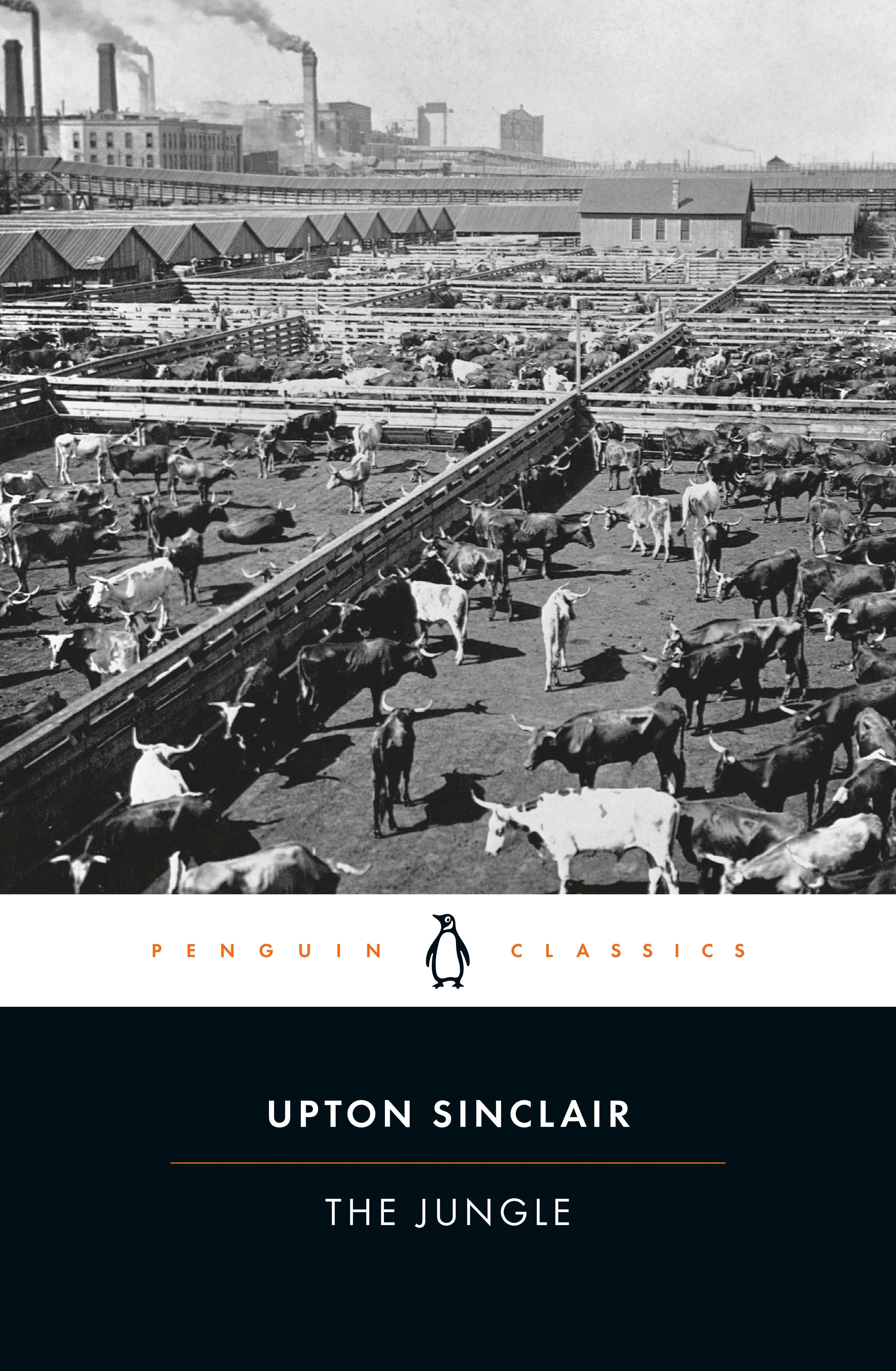 The Jungle / Upton Sinclair / Taschenbuch / Penguin American Library / 412 S. / Englisch / 1985 / Penguin Publishing Group / EAN 9780140390315 - Sinclair, Upton