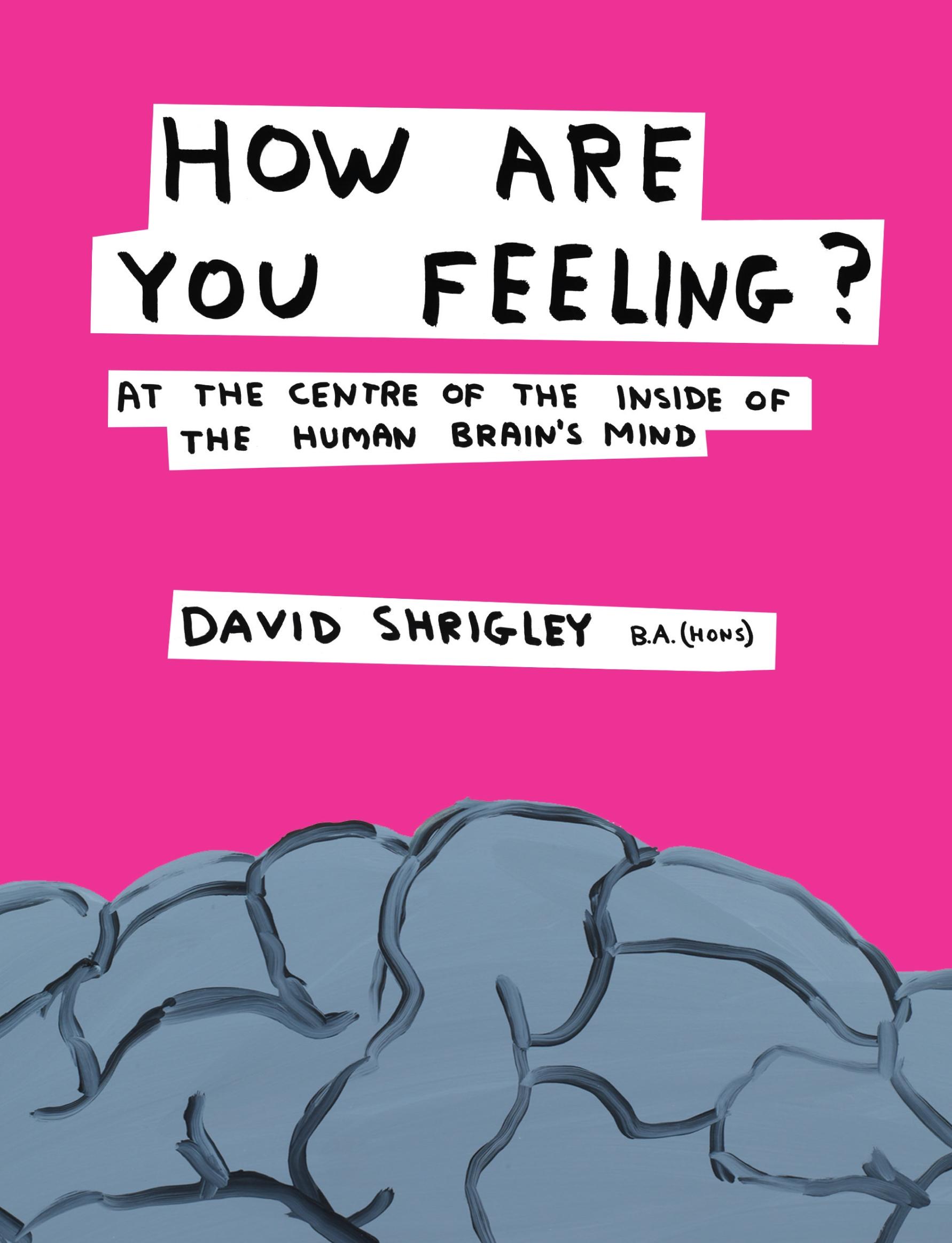 How Are You Feeling? / At the Centre of the Inside of The Human Brain's Mind / David Shrigley / Buch / Gebunden / Englisch / 2012 / Canongate Books / EAN 9780857867216 - Shrigley, David