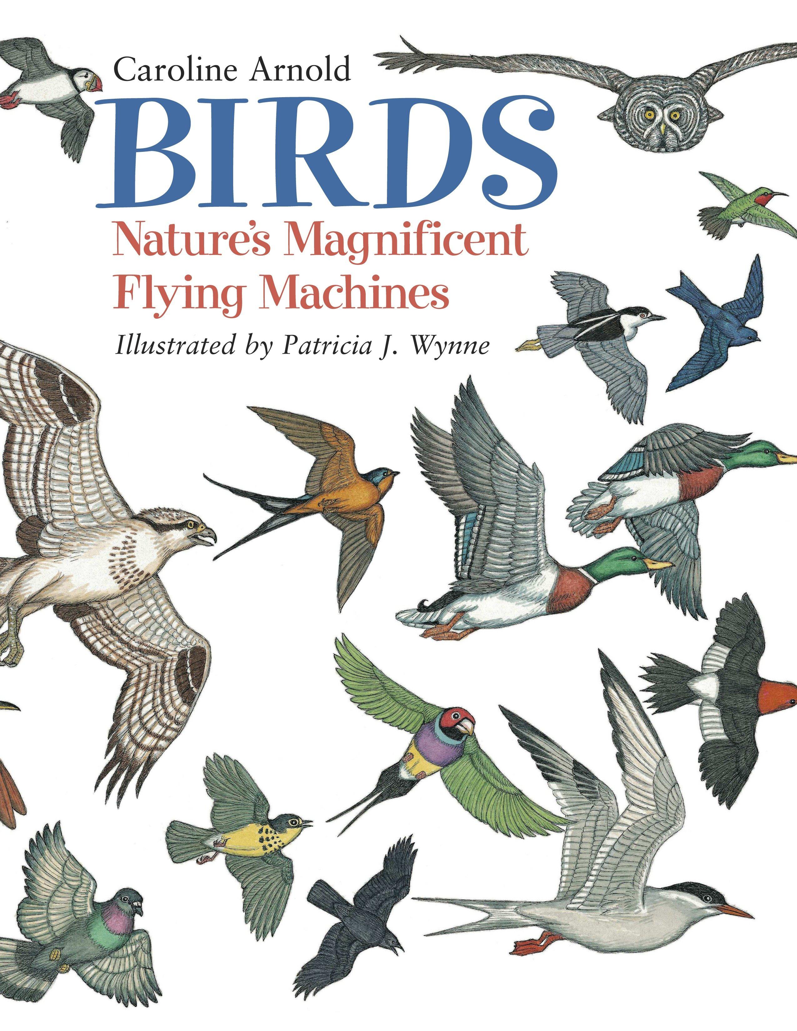 Birds: Nature's Magnificent Flying Machines / Caroline Arnold / Taschenbuch / Einband - flex.(Paperback) / Englisch / 2003 / Charlesbridge Publishing / EAN 9781570915727 - Arnold, Caroline