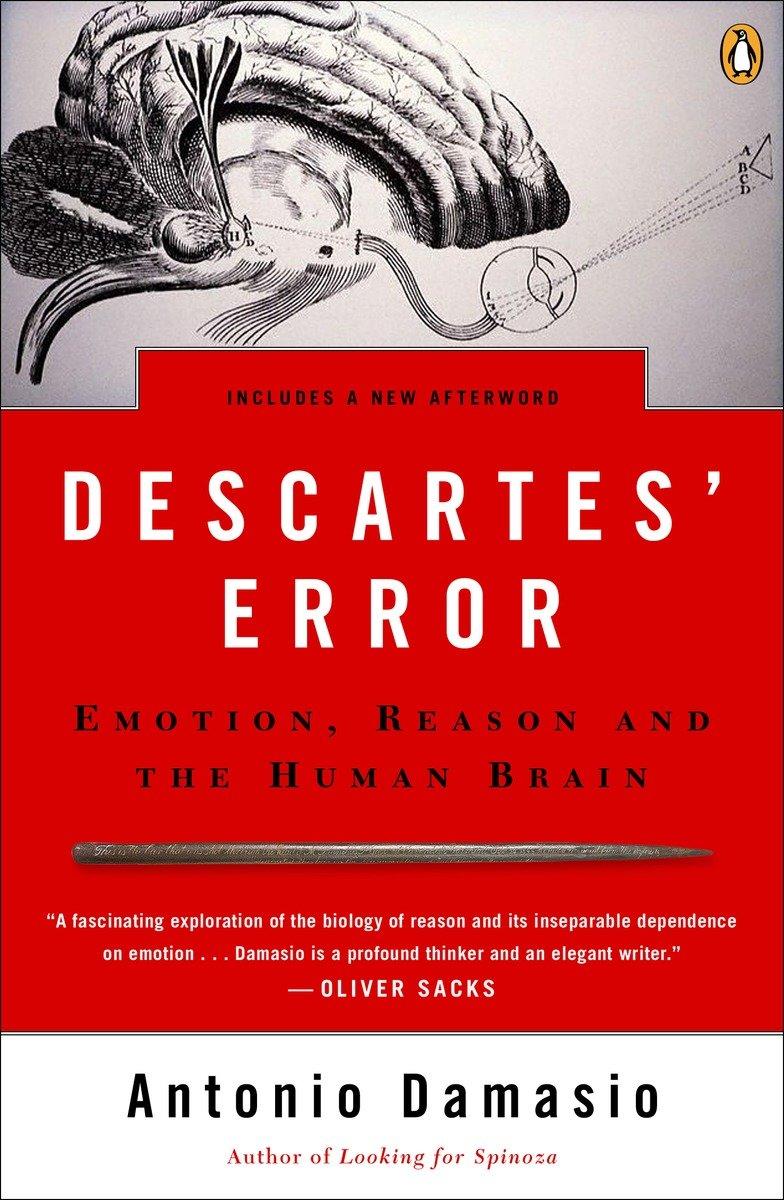 Descartes' Error / Emotion, Reason, and the Human Brain / Antonio Damasio / Taschenbuch / Englisch / 2005 / Penguin Random House Sea / EAN 9780143036227 - Damasio, Antonio