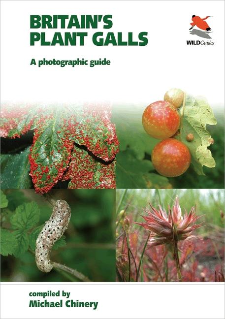 Britain`s Plant Galls - A Photographic Guide / A Photographic Guide / Michael Chinery / Taschenbuch / Princeton University Press (WILDGuides) / Kartoniert / Broschiert / Englisch / 2011 / WILDGuides - Chinery, Michael