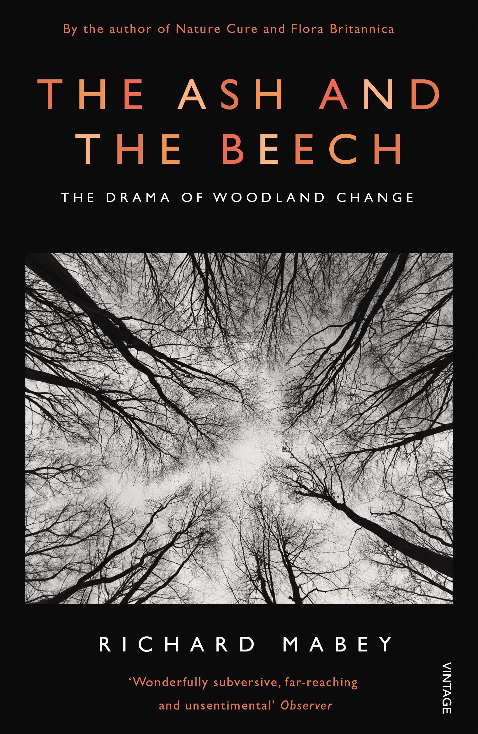 The Ash and The Beech / The Drama of Woodland Change / Richard Mabey / Taschenbuch / Kartoniert / Broschiert / Englisch / 2013 / Vintage Publishing / EAN 9780099587231 - Mabey, Richard