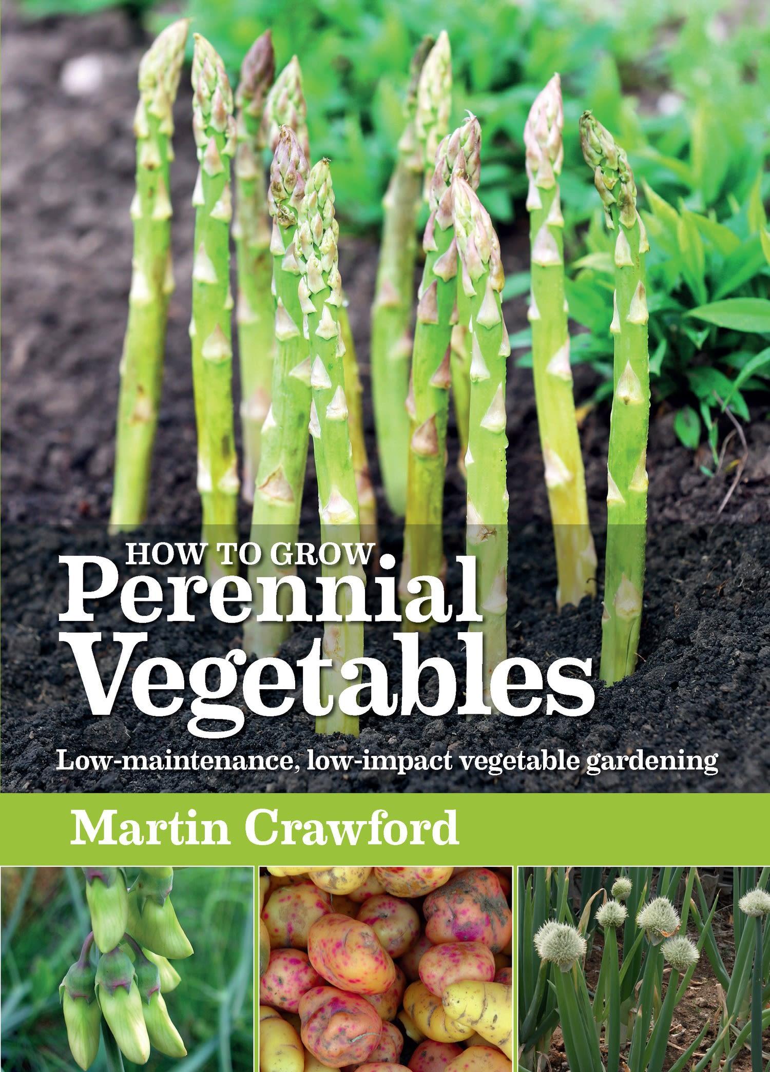 How to Grow Perennial Vegetables / Low-maintenance, low-impact vegetable gardening / Martin Crawford / Taschenbuch / Kartoniert / Broschiert / Englisch / 2012 / Bloomsbury Publishing PLC - Crawford, Martin
