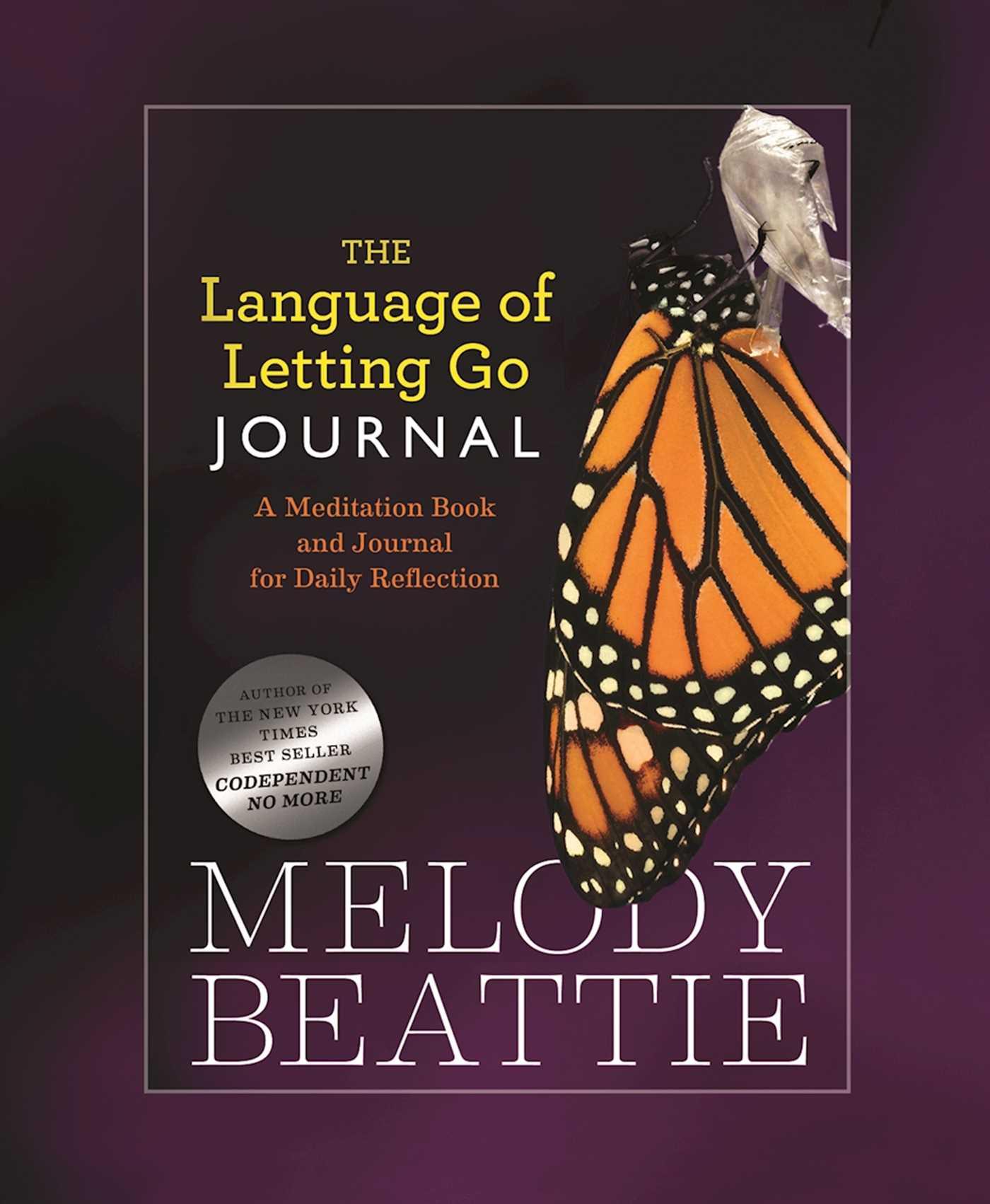The Language of Letting Go Journal / Melody Beattie / Taschenbuch / Kartoniert / Broschiert / Englisch / 2003 / Hazelden Publishing & Educational Services / EAN 9781568389844 - Beattie, Melody