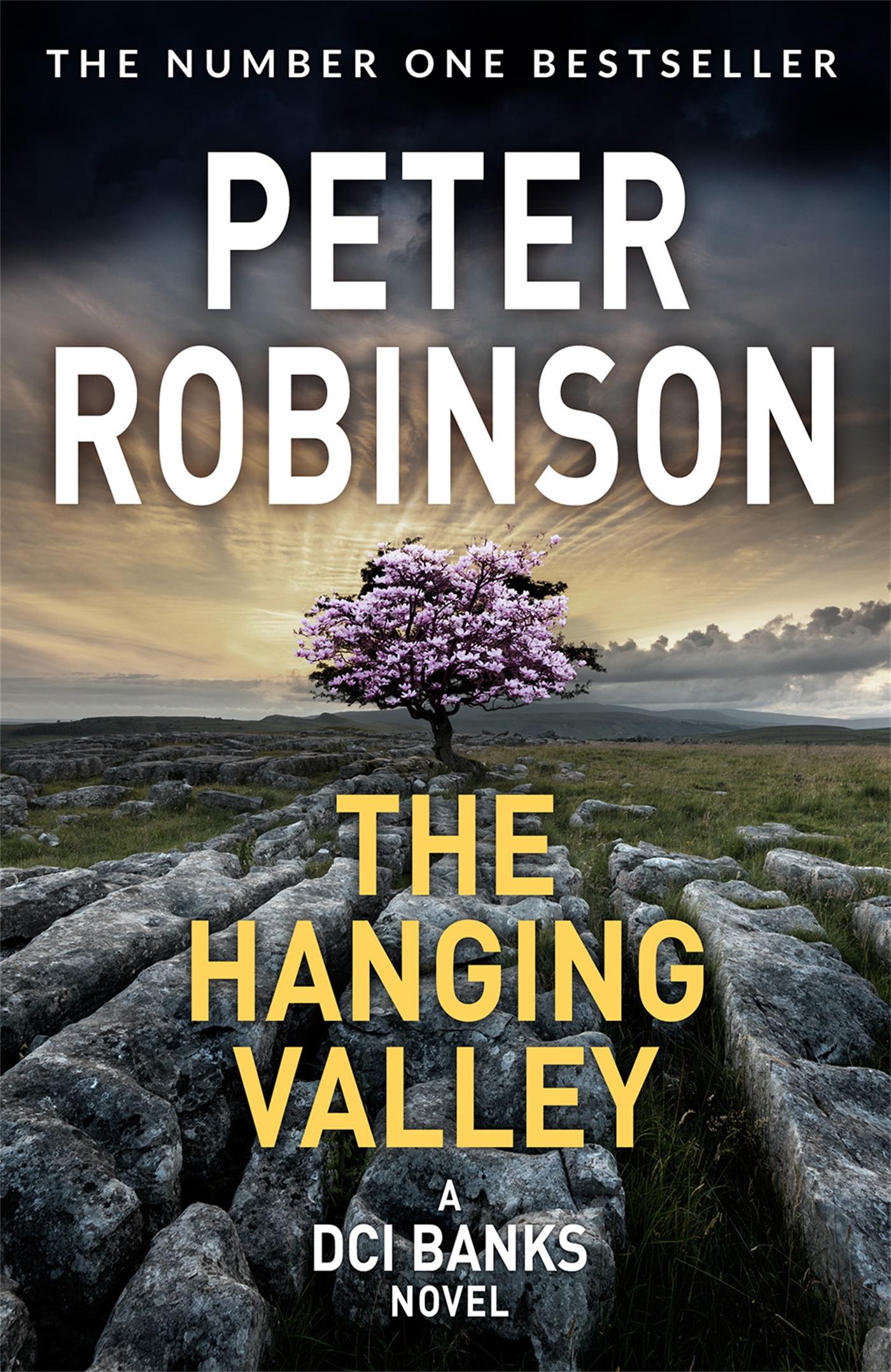 The Hanging Valley / Book 4 in the number one bestselling Inspector Banks series / Peter Robinson / Taschenbuch / Kartoniert / Broschiert / Englisch / 2018 / Pan Macmillan / EAN 9781509859047 - Robinson, Peter