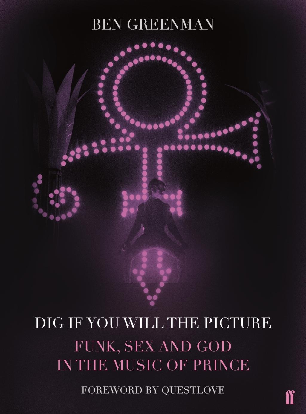 Dig If You Will The Picture / Funk, Sex and God in the Music of Prince / Ben Greenman / Buch / Gebunden / Englisch / 2017 / Faber & Faber / EAN 9780571333264 - Greenman, Ben