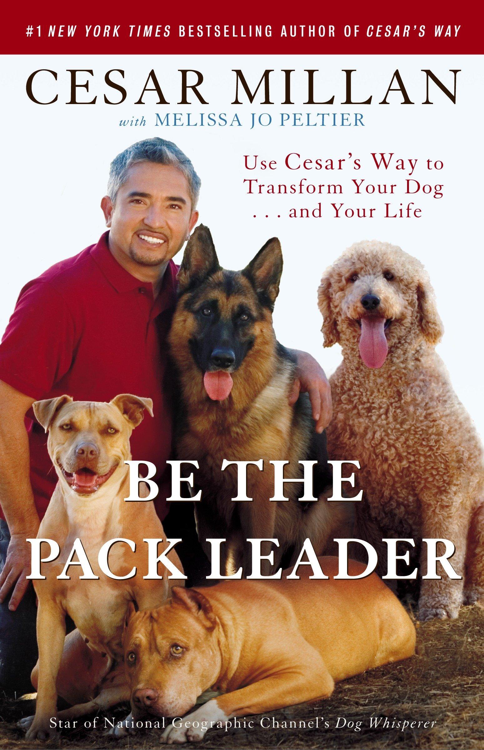 Be the Pack Leader / Use Cesar's Way to Transform Your Dog . . . and Your Life / Cesar Millan (u. a.) / Taschenbuch / Englisch / 2008 / Random House LLC US / EAN 9780307381675 - Millan, Cesar