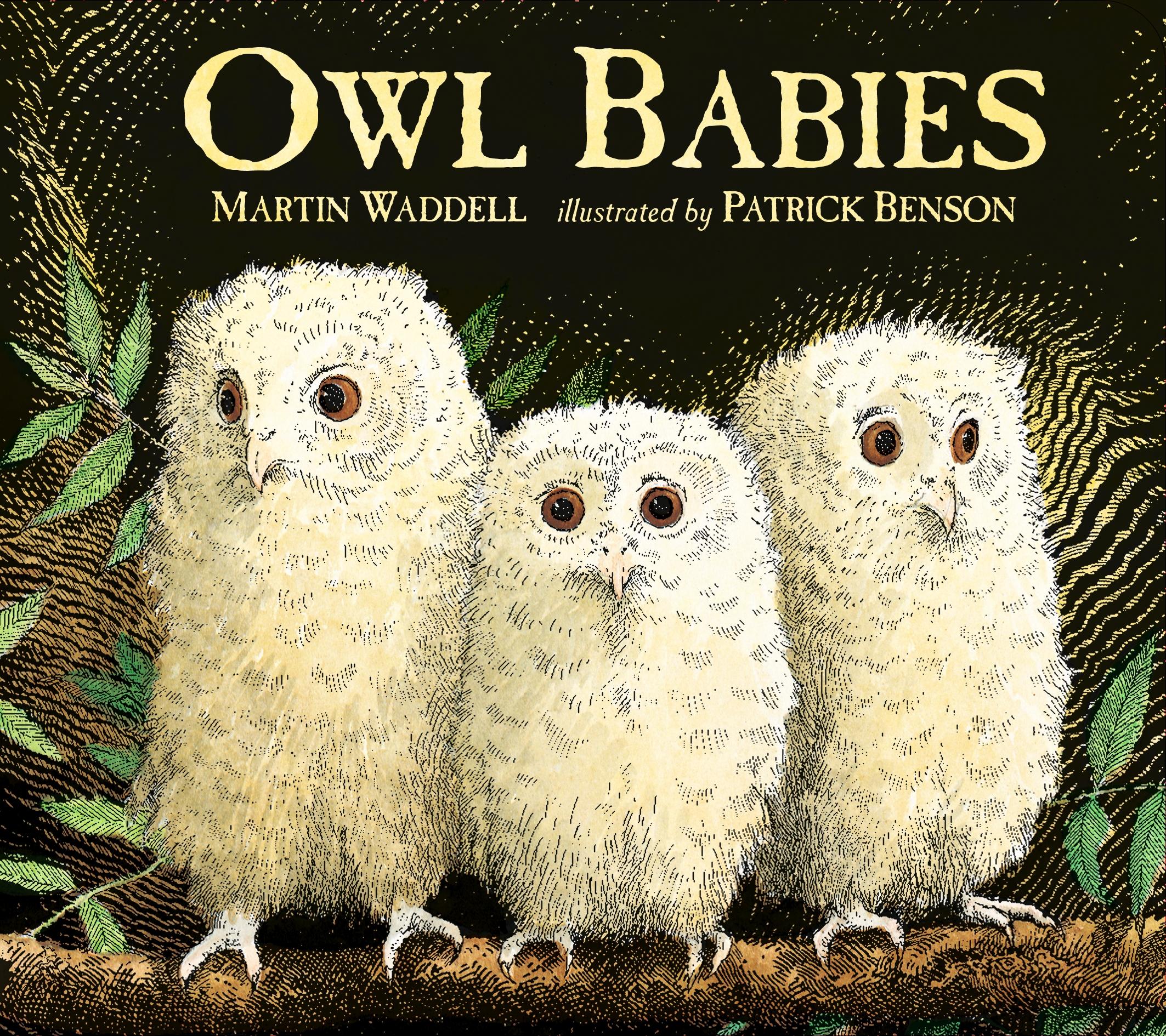 Owl Babies / Martin Waddell / Buch / Papp-Bilderbuch / Englisch / 2017 / Walker Books Ltd / EAN 9781406374377 - Waddell, Martin