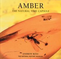 Ross, A: Amber / The Natural Time Capsule / Andrew Ross / Taschenbuch / Kartoniert / Broschiert / Englisch / 2010 / The Natural History Museum / EAN 9780565092580 - Ross, Andrew